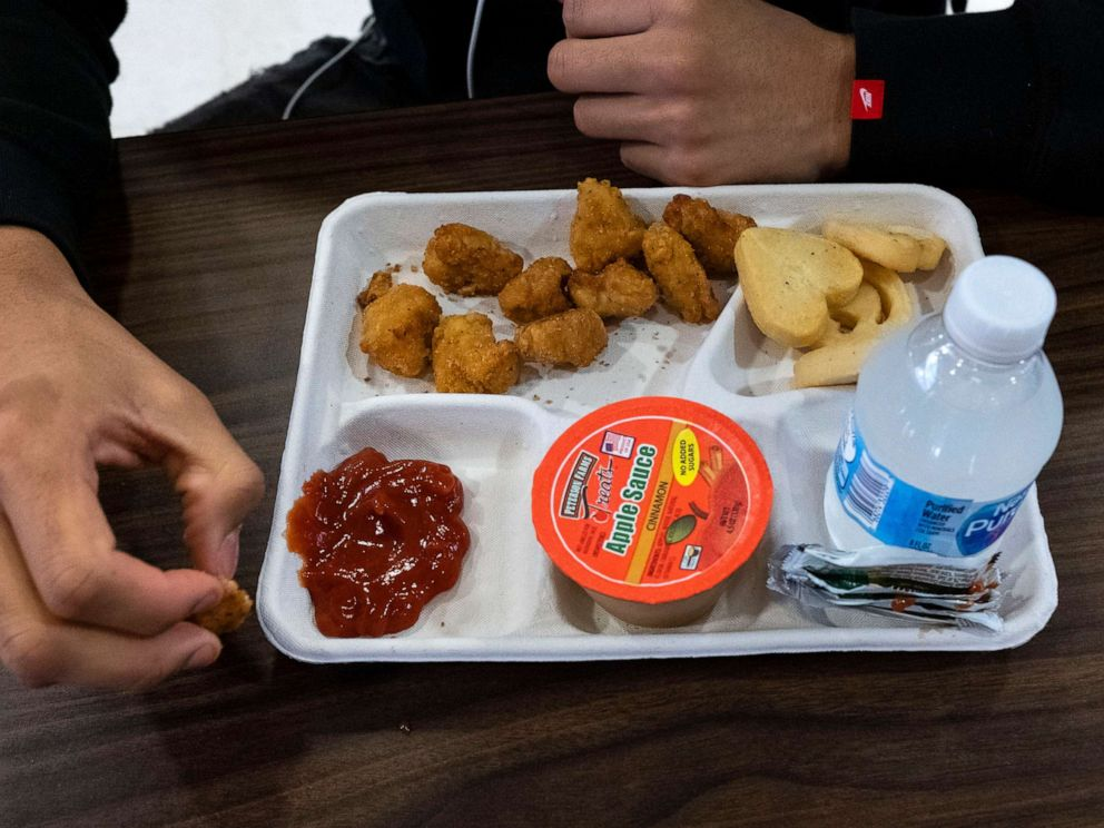 Growing Student Lunch Debt a Problem for Millions of Families